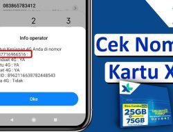 Langkah Mudah Check Nomor HP XL Terbaru