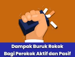 Dampak Negatif Merokok: Bahaya yang Perlu Diketahui